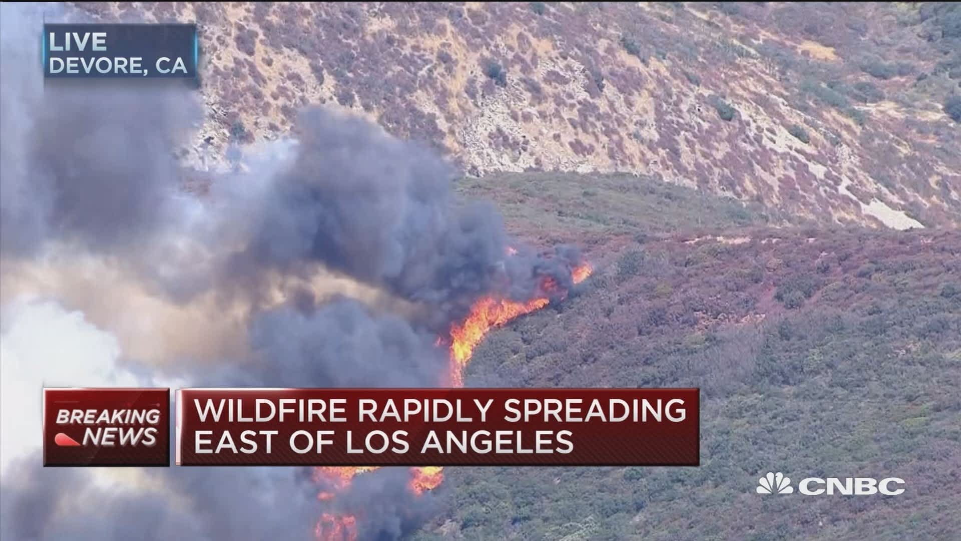 Los Angeles Wildfires Fuel A Disturbing New Betting Trend Los Angeles Wildfires Fuel A Disturbing New Betting Trend