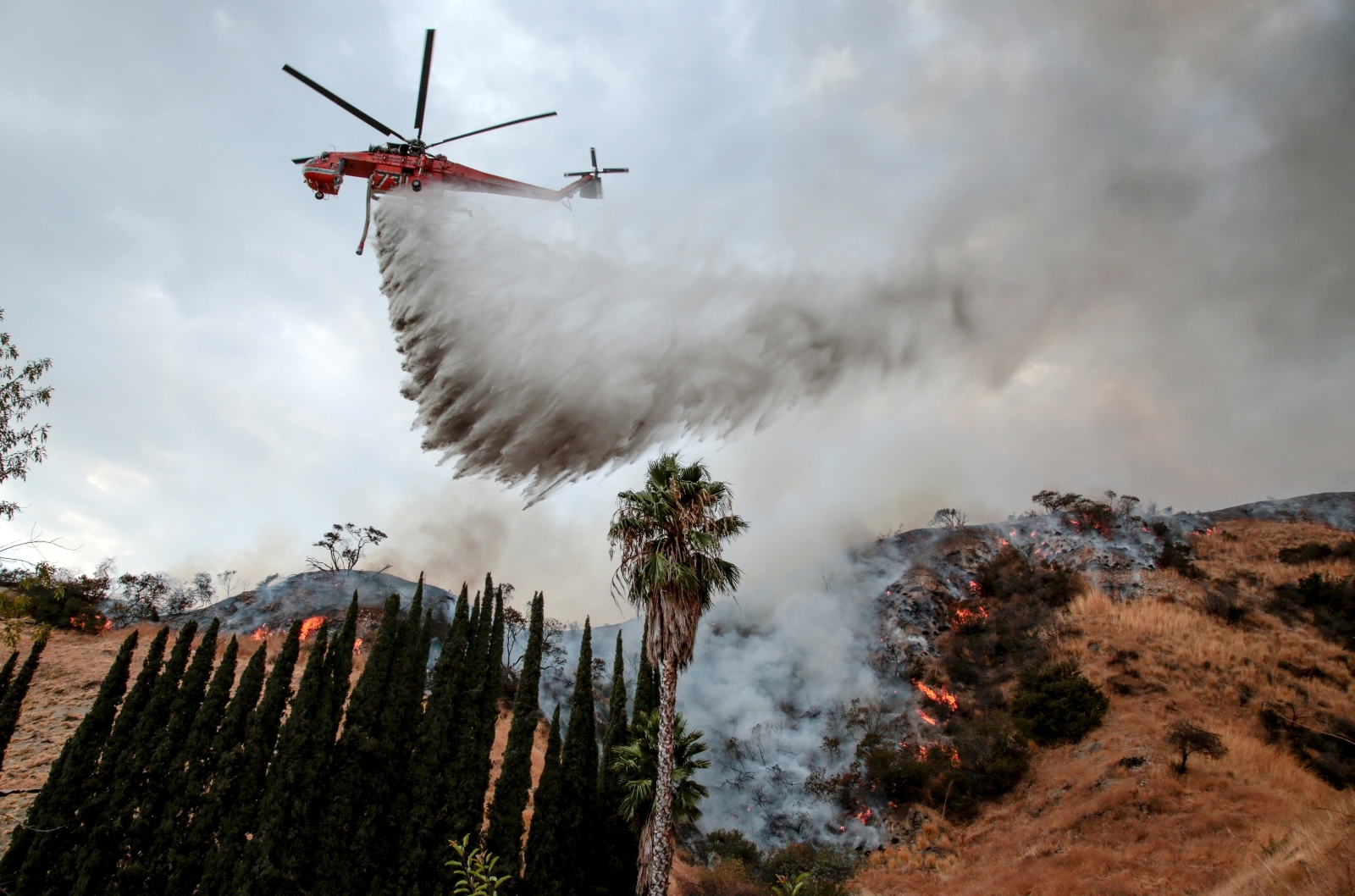 The Growing Market For Wildfire Bets: Examining The Los Angeles Situation The Growing Market For Wildfire Bets: Examining The Los Angeles Situation